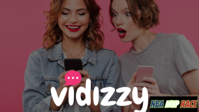 vidizzy